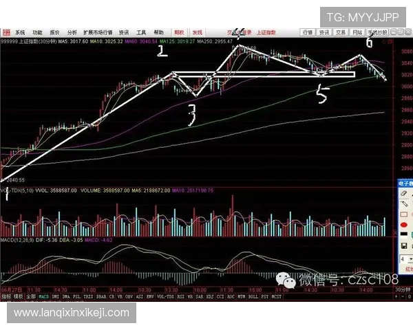 全面解析分分彩走势图的走势图类型与实用技巧推荐