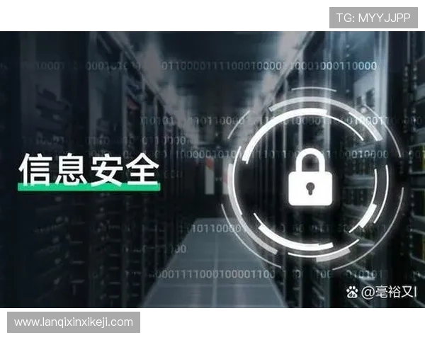 全面解析PA8网站的注册流程与账号安全保障措施